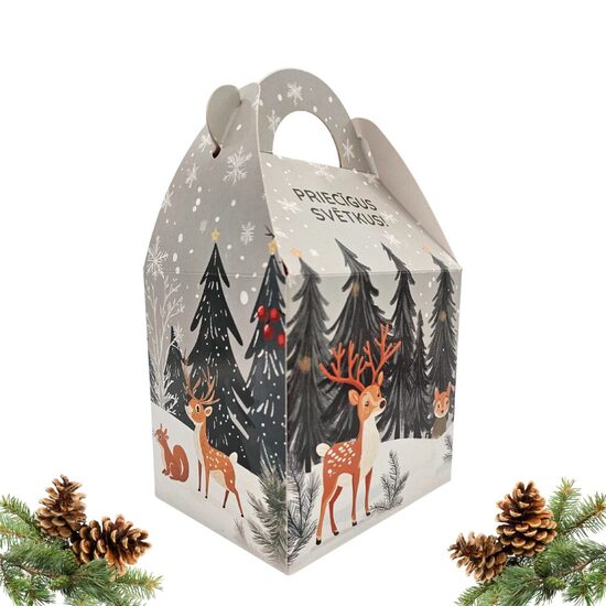 "MEŽA DRAUGI" Ziemassvētku saldumu paciņa bērniem